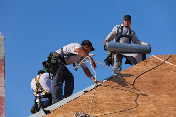 Best Roof Repair Services  in Lakeland, GA