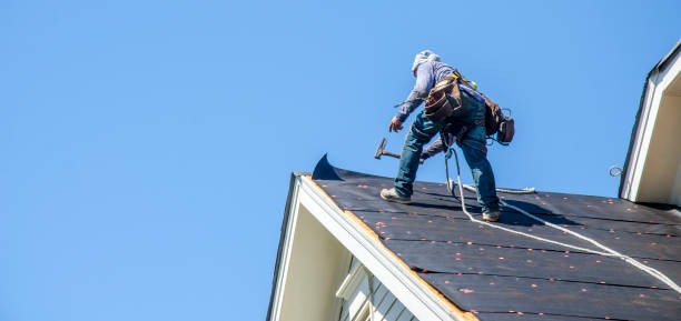 Roof Gutter Cleaning in Lakeland, GA